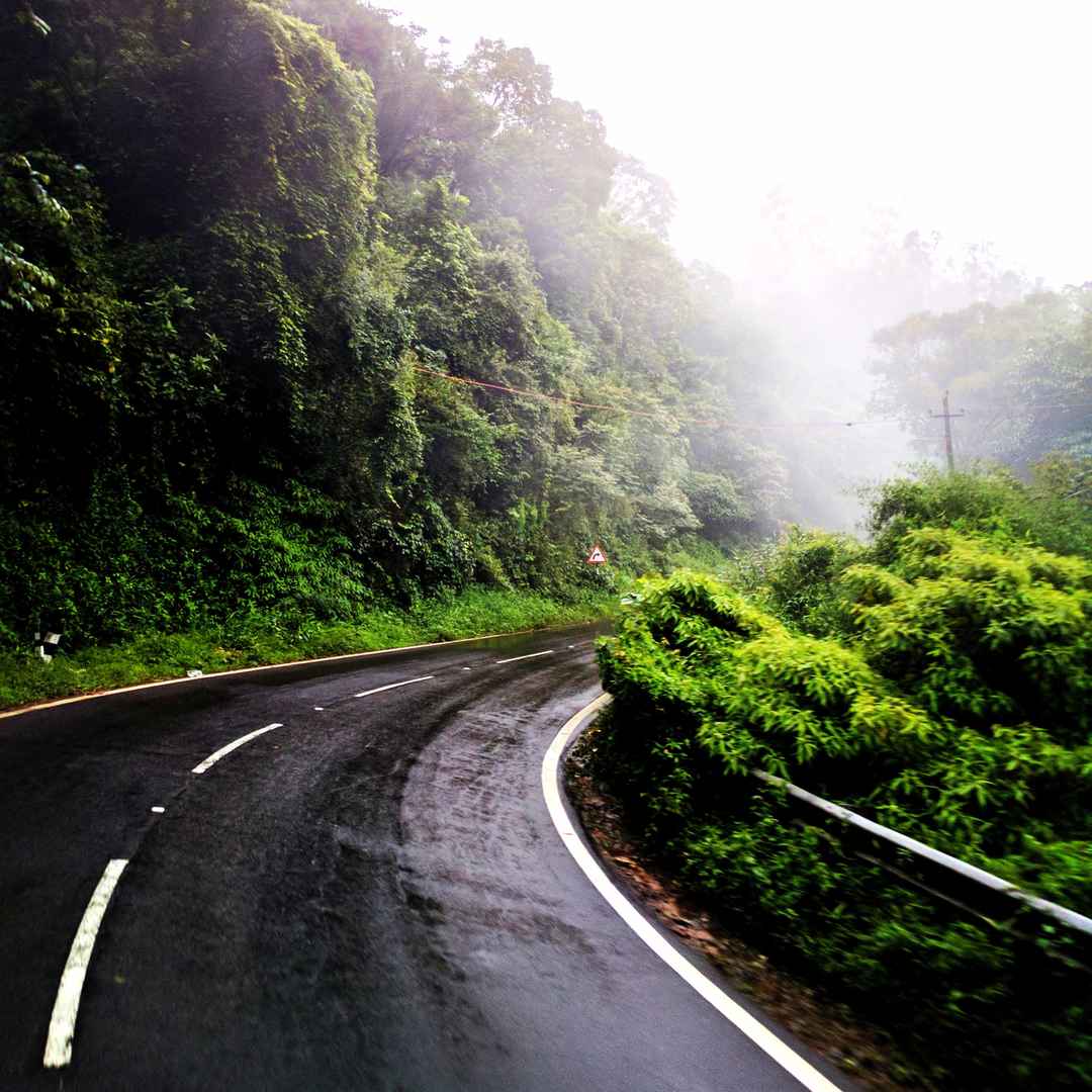 Best 5 Monsoon Road Trips to Do in South India